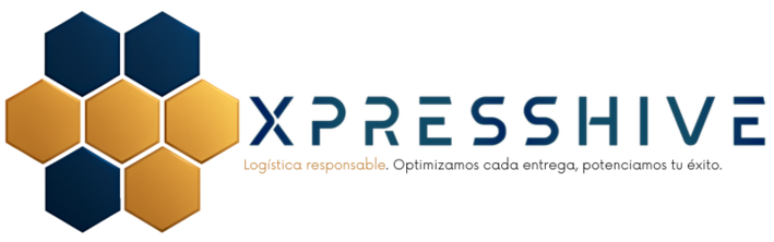 xpresshive.cl